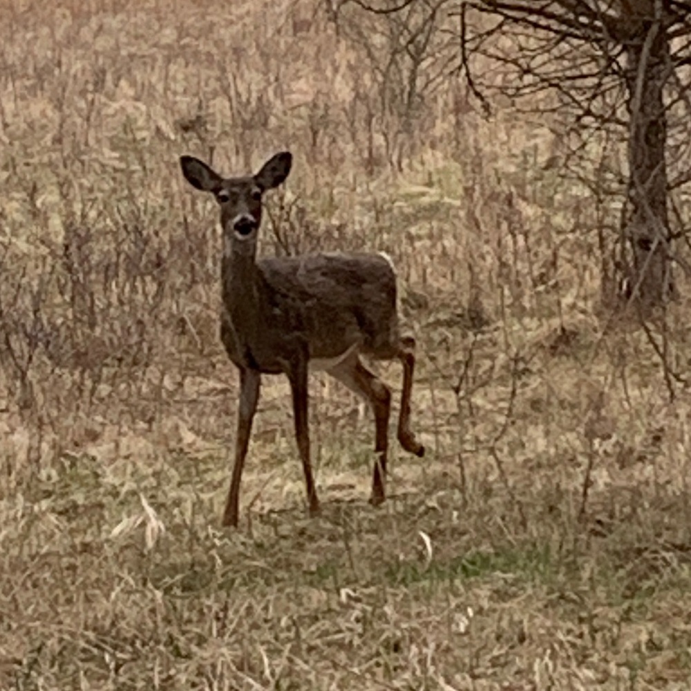 Meet your Posher, Kerry